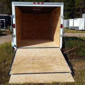 6x10 Enclosed Trailer